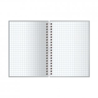 Записная книжка А6 120 листов, на гребне BG Место под солнцем, матовая ламинация, выб. лак, твердая обложка. Арт. ЗКТ6гр120_лм_вл 57215 фото книги 2