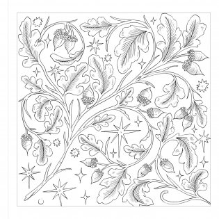 Starcana: Green Magic фото книги 3