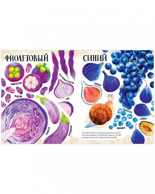 Приключения улитки Элли в мире фруктов и овощей (мягкая обложка) фото книги 9