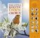 The Little Book of the Dawn Chorus. Sound Book фото книги маленькое 2