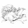 Скетчбук-раскраска. Волшебный мир Кэна Мацуды (черная с цветком) фото книги маленькое 11