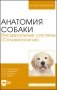 Анатомия собаки. Висцеральные системы (Спланхнология). Учебник для вузов фото книги маленькое 2