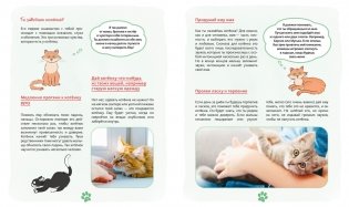 Я и моя кошка. Как понять питомца и стать ему другом фото книги 4