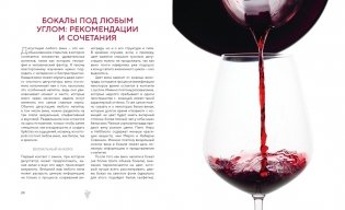 Магия вина. От солнечной грозди до вашего бокала фото книги 6