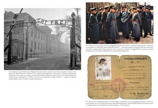 Холокост. Новая история фото книги 5
