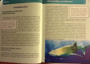 Акулы. Энциклопедия фото книги 4