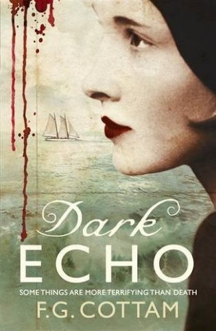 Dark Echo фото книги