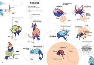 Планета Земля. Мир вокруг нас в инфографике фото книги 7