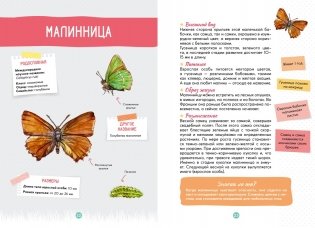 Лесные животные фото книги 4
