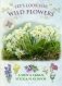 Let's Look for Wild Flowers + 30 reusable stickers фото книги маленькое 2