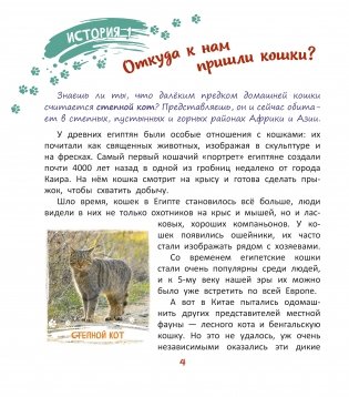 ТЫ и коТЫ. Книга в историях о котах и кошечках фото книги 3