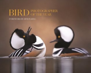 Bird photographer of the year фото книги