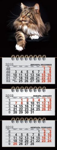 Календарь на 2020 год "Кот" (КР29-20022) фото книги