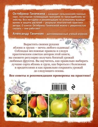 Яблони и груши. Секреты урожая от Октябрины Ганичкиной фото книги 8