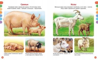 Животные разных стран фото книги 4
