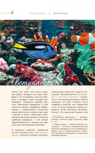 Морской аквариум фото книги 2