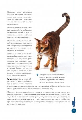 Здоровье вашей кошки фото книги 11