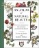 An Atlas of Natural Beauty: Botanical Ingredients for Retaining and Enhancing Beauty фото книги маленькое 2