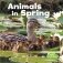 Animals in Spring фото книги маленькое 2