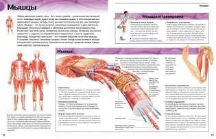 Гигантская энциклопедия школьника фото книги 5
