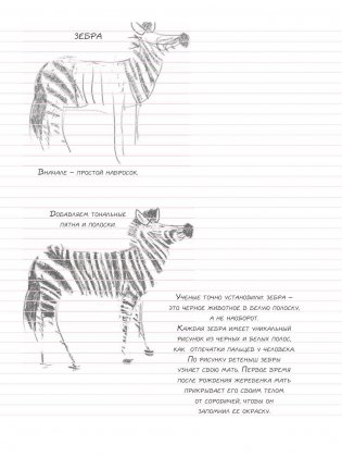 Животные. Sketchbook фото книги 9