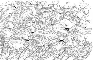 Harry Potter Magical Creatures Colouring Book фото книги 5