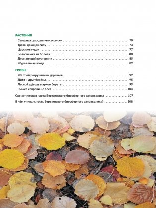 Чарующий мир природы. Березинский биосферный заповедник фото книги 7
