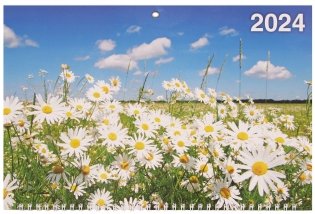 Календарь квартальный настенный трехблочный на 2024г "Ромашки в поле" (310х680 мм) фото книги 2