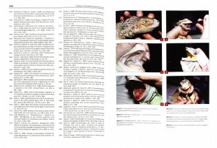 Ветеринарная герпетология фото книги 2