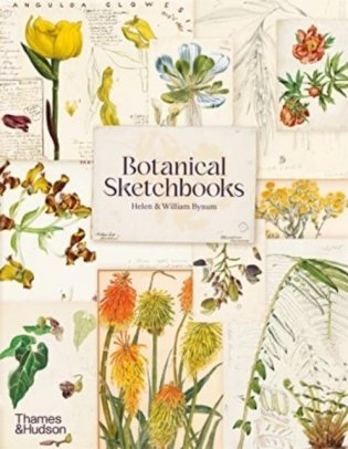 Botanical Sketchbooks фото книги