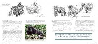 Jay Matternes фото книги 9