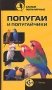 Самые популярные попугаи и попугайчики фото книги маленькое 2