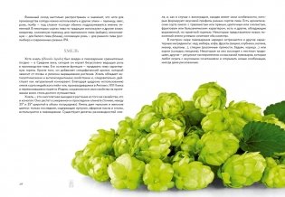 Маленькая книга гурмана. Пиво фото книги 7