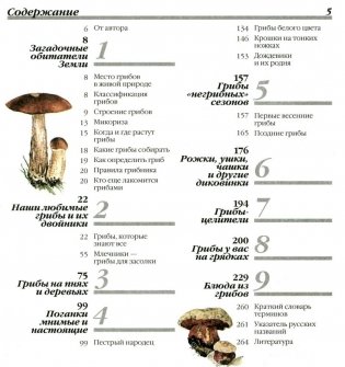 Грибы. 250 видов съедобных, ядовитых и лечебных грибов фото книги 4