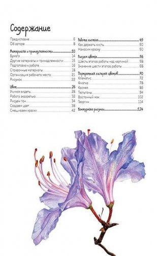 Основы ботанической живописи акварелью. Практические рекомендации и пошаговые описания фото книги 2