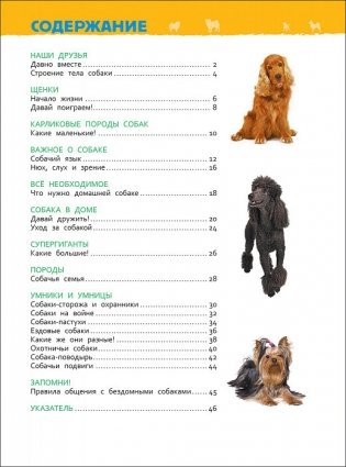 Собаки и щенки. Энциклопедия для детского сада фото книги 2