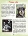 Почему собака лает и ещё 100 ответов на детские «почему» про собак фото книги маленькое 8