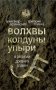 Волхвы, колдуны, упыри в религии древних славян фото книги маленькое 2