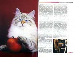 Сибирская кошка. Содержание и уход фото книги 2