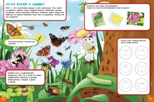 Вспоминаем лето! Мой первый альбом наблюдений фото книги 5