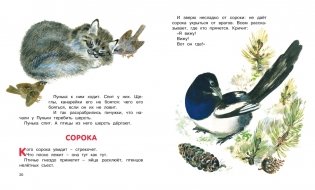 Друзья фото книги 6