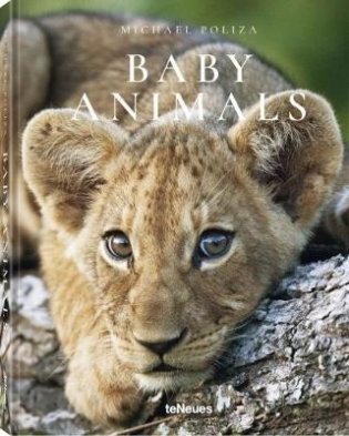 Michael Poliza. Baby Animals фото книги