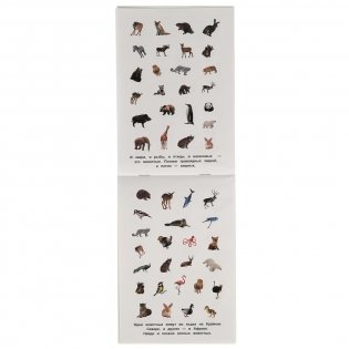 Альбом наклеек "Такие разные животные" (100 наклеек) фото книги 2