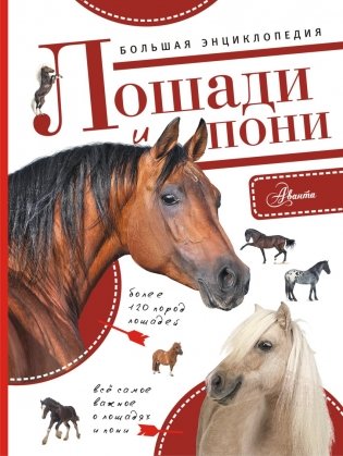 Лошади и пони. Большая энциклопедия фото книги