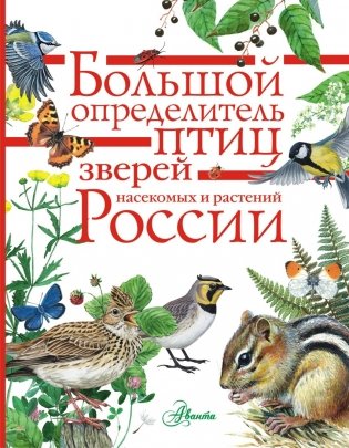 Большой определитель птиц, зверей, насекомых и растений России фото книги