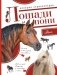 Лошади и пони. Большая энциклопедия фото книги маленькое 2