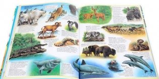 Атлас животных фото книги 3