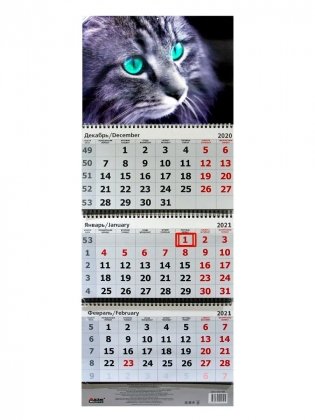 Календарь квартальный на 2021 год "3D. Кошка" фото книги