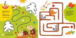 Дикие животные. Для занятий дома и в детском саду фото книги 7