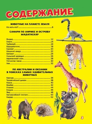 Моя первая большая книга о животных фото книги 15